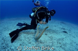 Diver and Seasnake by Steffen Binke 